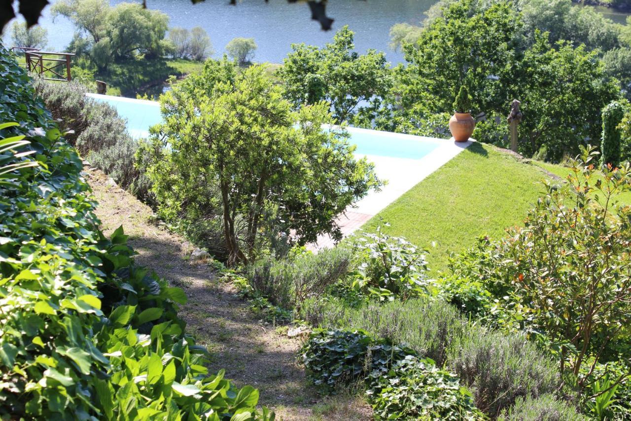 Vila "Bouca Drigues" Casa Antiga De Pedra Com Piscina E Vista Rio Amarante Exteriér fotografie