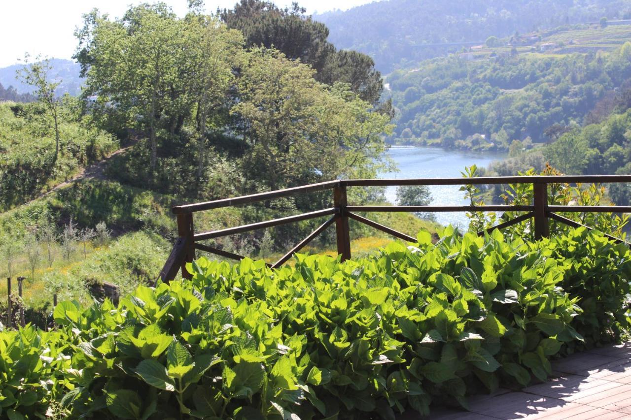 Vila "Bouca Drigues" Casa Antiga De Pedra Com Piscina E Vista Rio Amarante Exteriér fotografie