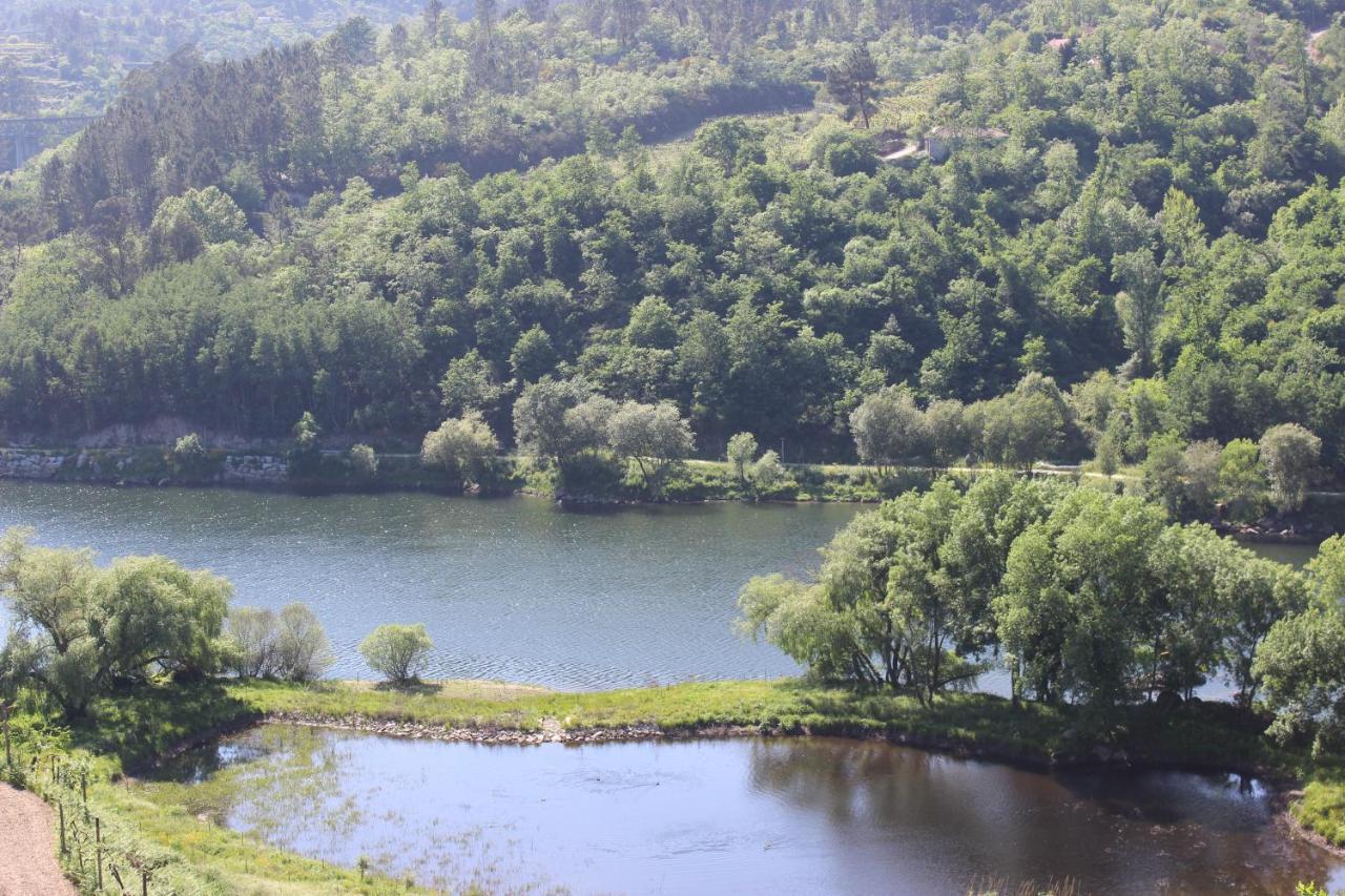 Vila "Bouca Drigues" Casa Antiga De Pedra Com Piscina E Vista Rio Amarante Exteriér fotografie