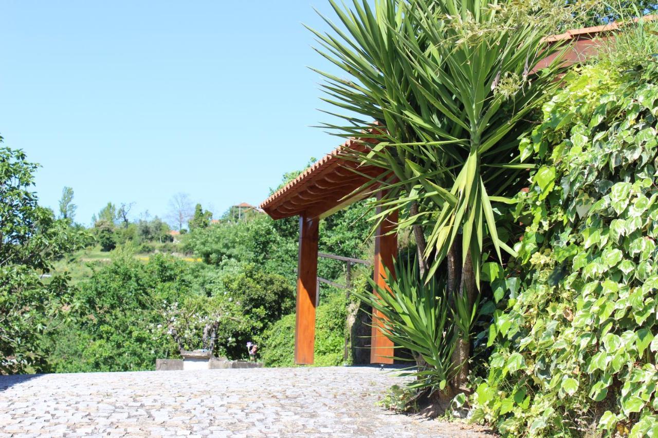Vila "Bouca Drigues" Casa Antiga De Pedra Com Piscina E Vista Rio Amarante Exteriér fotografie