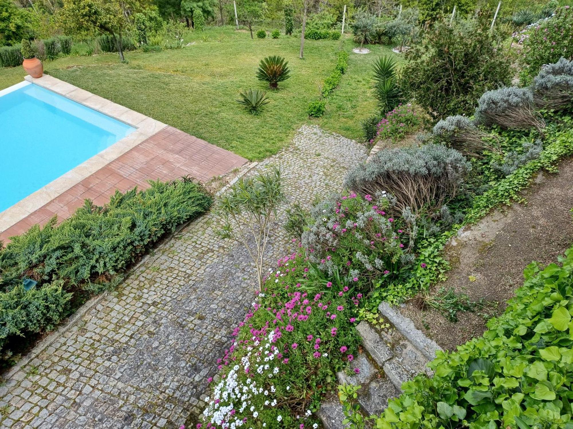 Vila "Bouca Drigues" Casa Antiga De Pedra Com Piscina E Vista Rio Amarante Exteriér fotografie