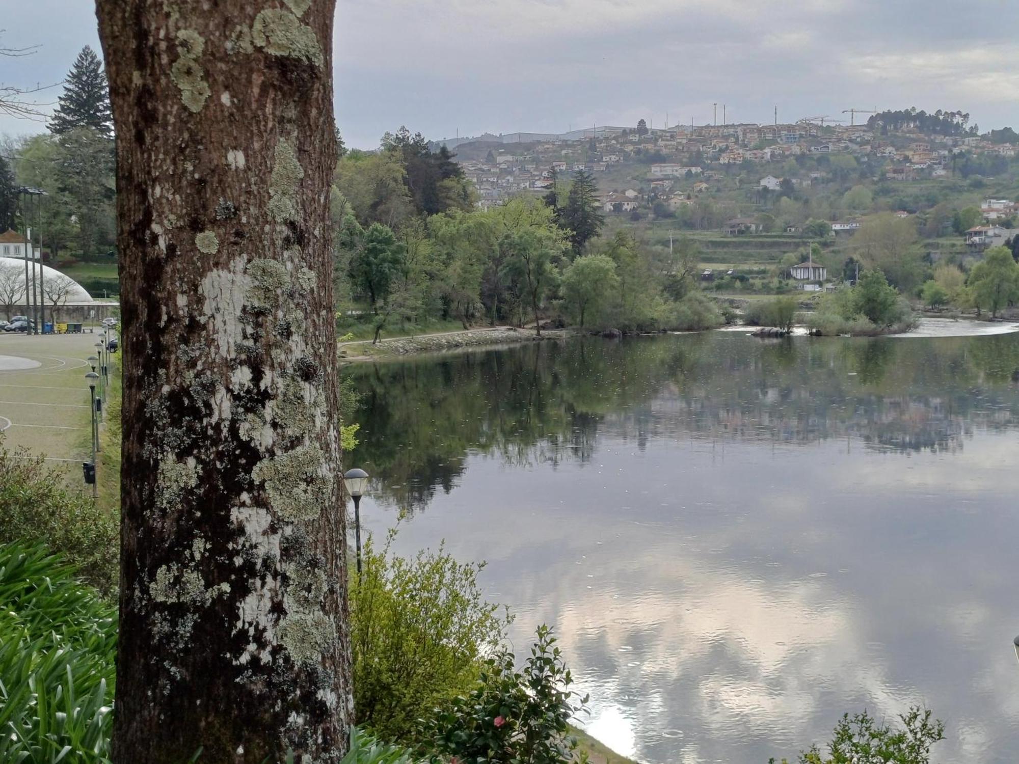 Vila "Bouca Drigues" Casa Antiga De Pedra Com Piscina E Vista Rio Amarante Exteriér fotografie